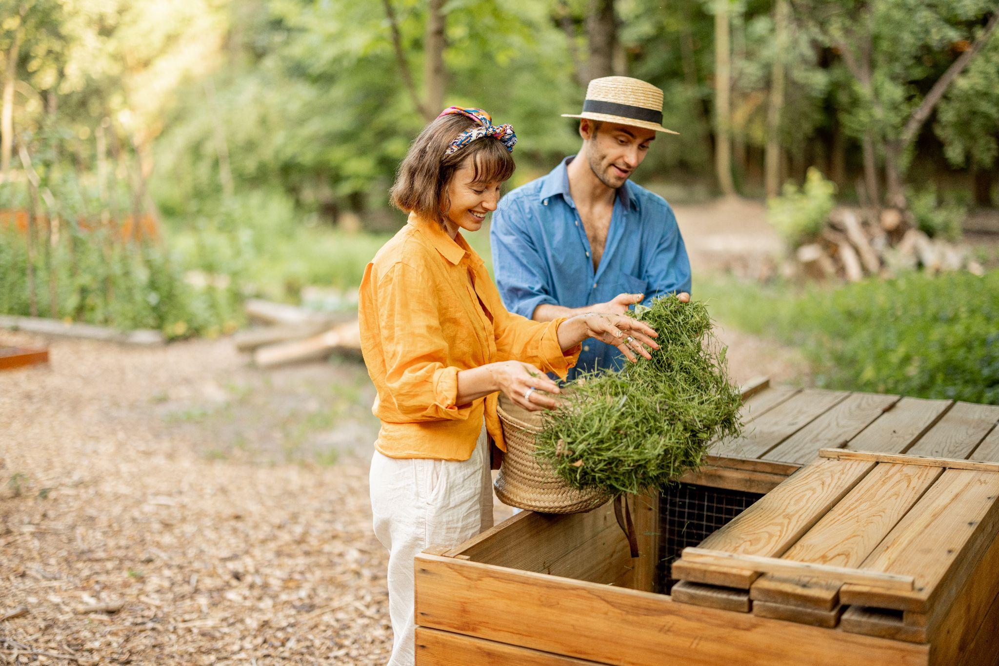 Comprendre le jardinage avec des conteneurs